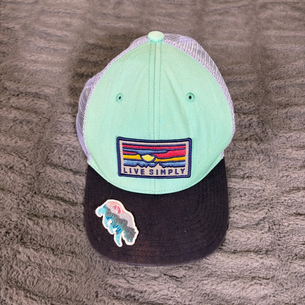 Patagonia Live Simply Trucker Hat Mint Green Purple Snapback Bison Patch AT621